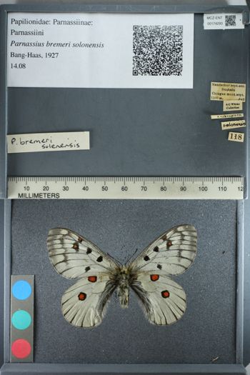 Media type: image;   Entomology 174293